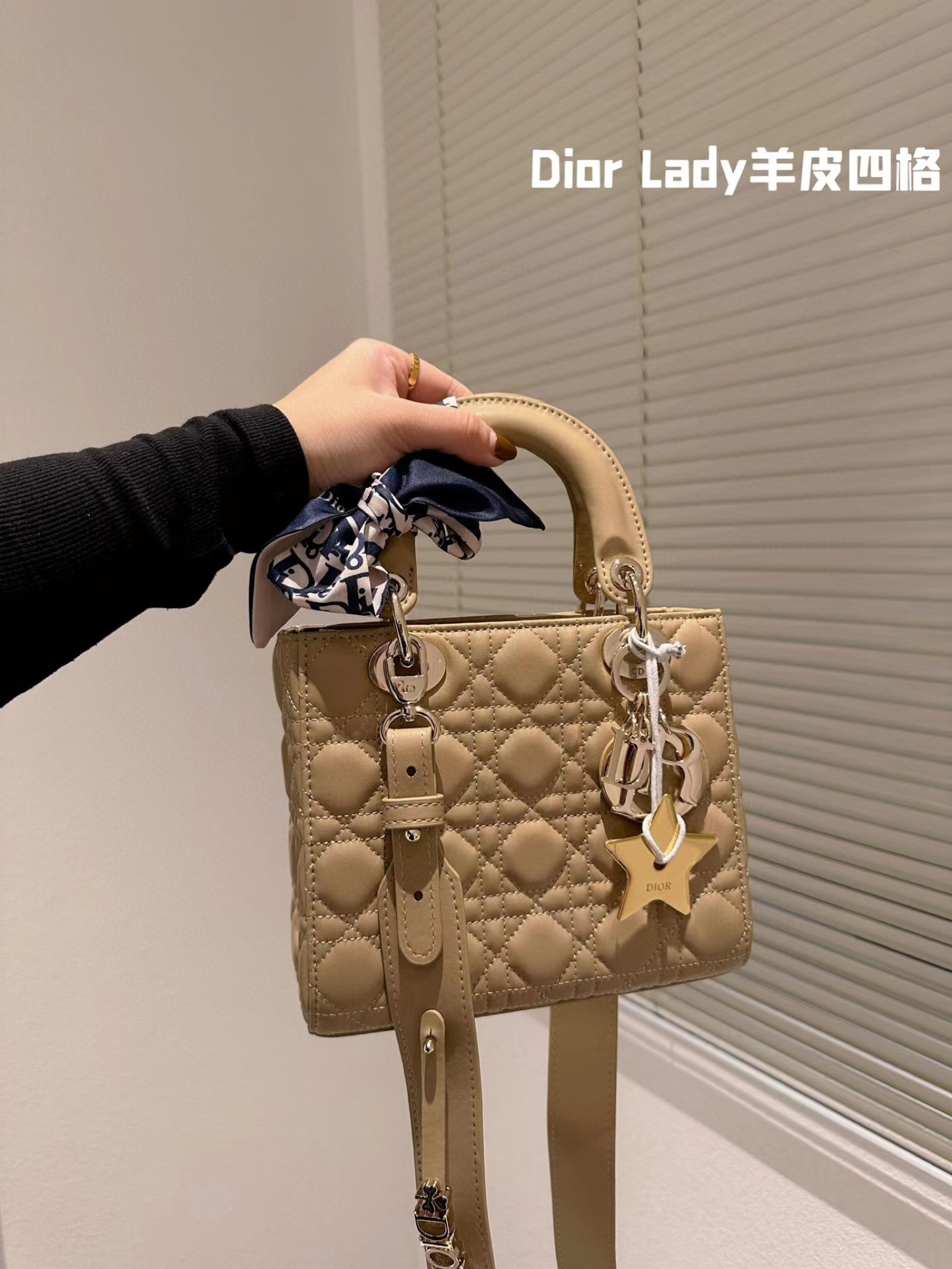 Dior Lady Dior Bag Lambskin Leather Shoulder Bag Handbag Cross Body Crossbody Bag Dior Bag CD Bag Women Fashion Classic Leather Purse Option：DFFG08

#LTKGiftGuide #LTKitbag #LTKstyletip