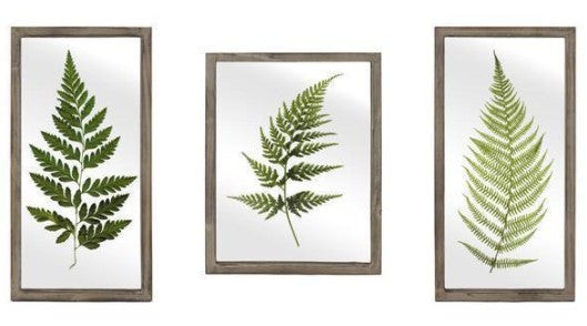 19" Framed Fern Picture- 3 Styles | The Nested Fig