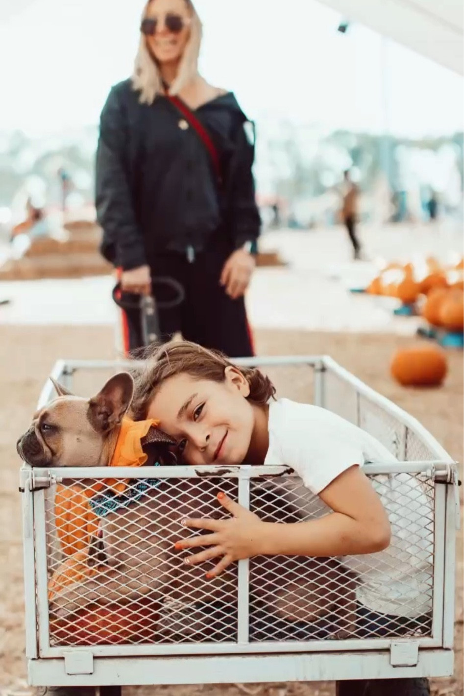 Happy Halloween and Happy Fall!  

#LTKSeasonal #LTKKids