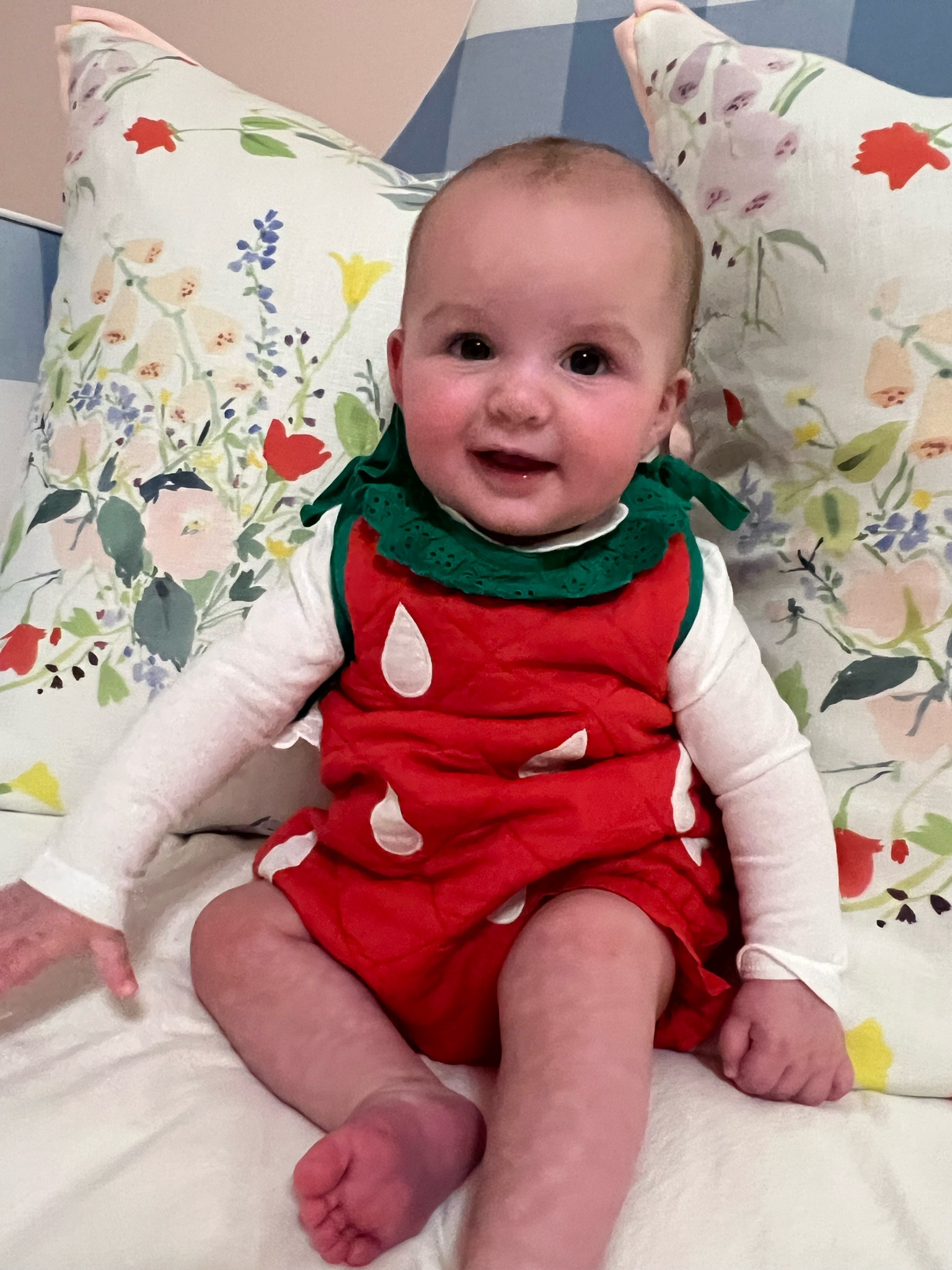 Pillows on sale?! Always a favorite purchase! I linked Cecile’s pillows as well as the two I purchased during this sale!

#LTKHome #LTKSaleAlert