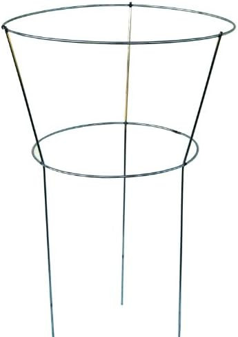 Glamos 706009 18-Inch by 30-Inch Peony Hoops | Amazon (US)