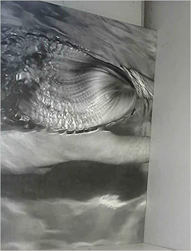 Mermaids     Hardcover – January 1, 2008 | Amazon (US)