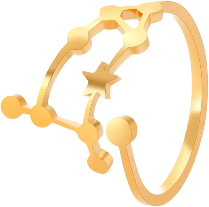 Stainless Steel Adjustable 12 Zodiac Sign Rings for Women Constellation Ring Gift for Girlfriend ... | Amazon (US)