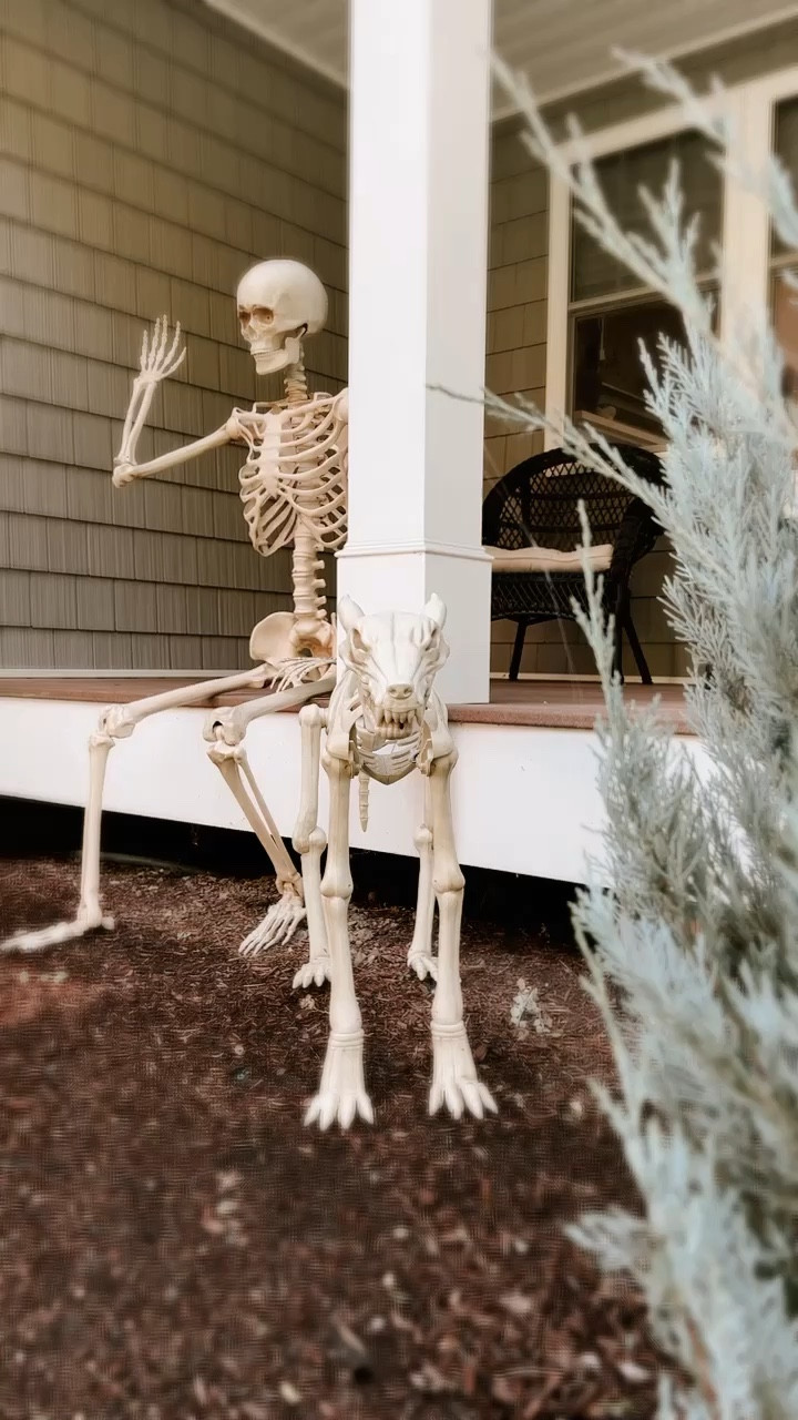 Halloween decorations • Halloween porch • outdoor Halloween decor • life size skeletons • animal skeletons • fun Halloween decor • cute Halloween decor • scary Halloween decor • spooky porch • front yard Halloween decorations

#LTKSeasonal #LTKHalloween #LTKhome