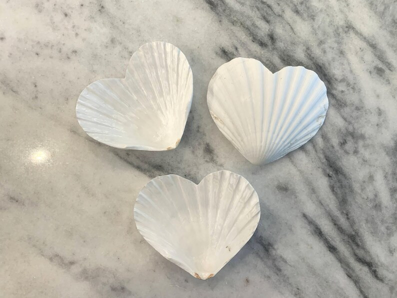 Heart Shape Scallop Shell, Set Of4/8, White 4 to 4.5 Inch Heart Shaped Shell, Wedding Shells, Bri... | Etsy (US)
