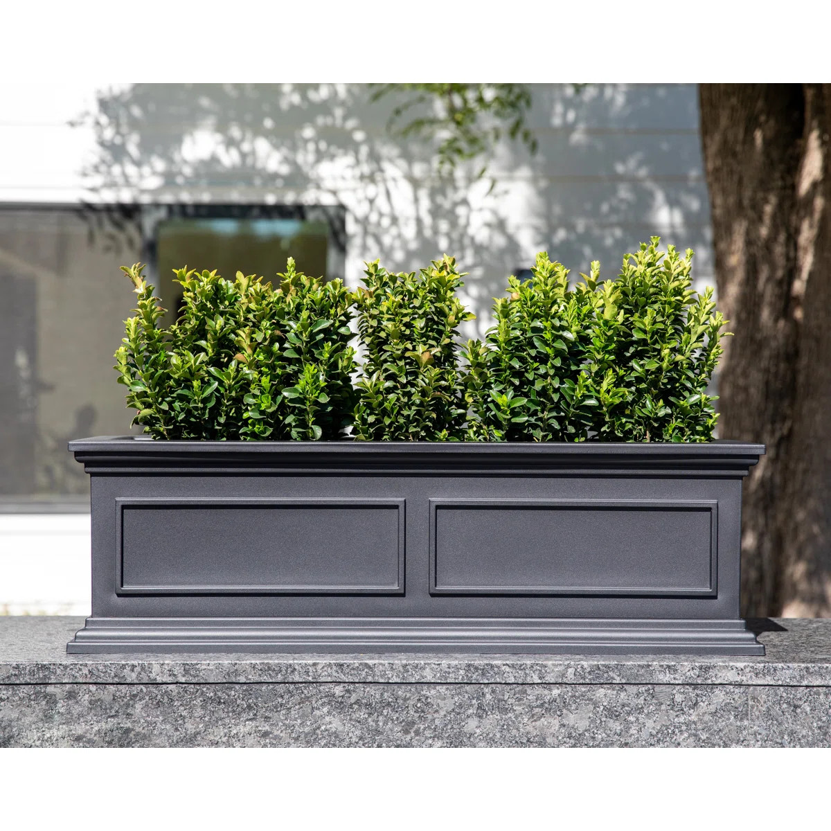 Sol 72 Outdoor\u2122 Abram Window Box Planter & Reviews | Wayfair | Wayfair North America