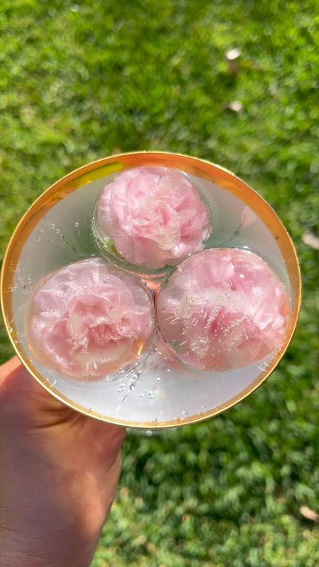 Make flower ice spheres and add them to your sparkling water for the perfect non-alcoholic pick me up. 

#LTKparties #LTKhome