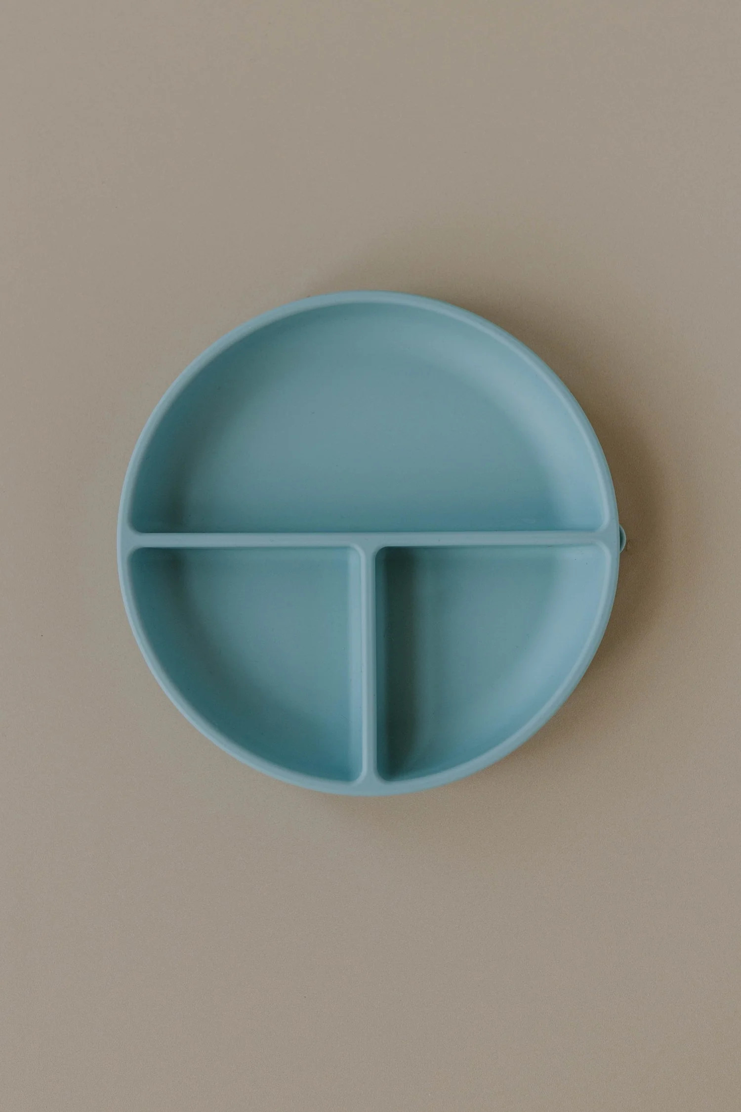 Silicone Divider Plate Sky | Evri LLC