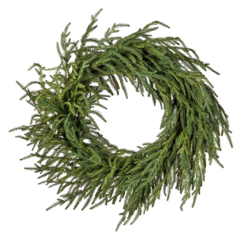 Norfolk Just Cut 24" Wreath | Wayfair North America