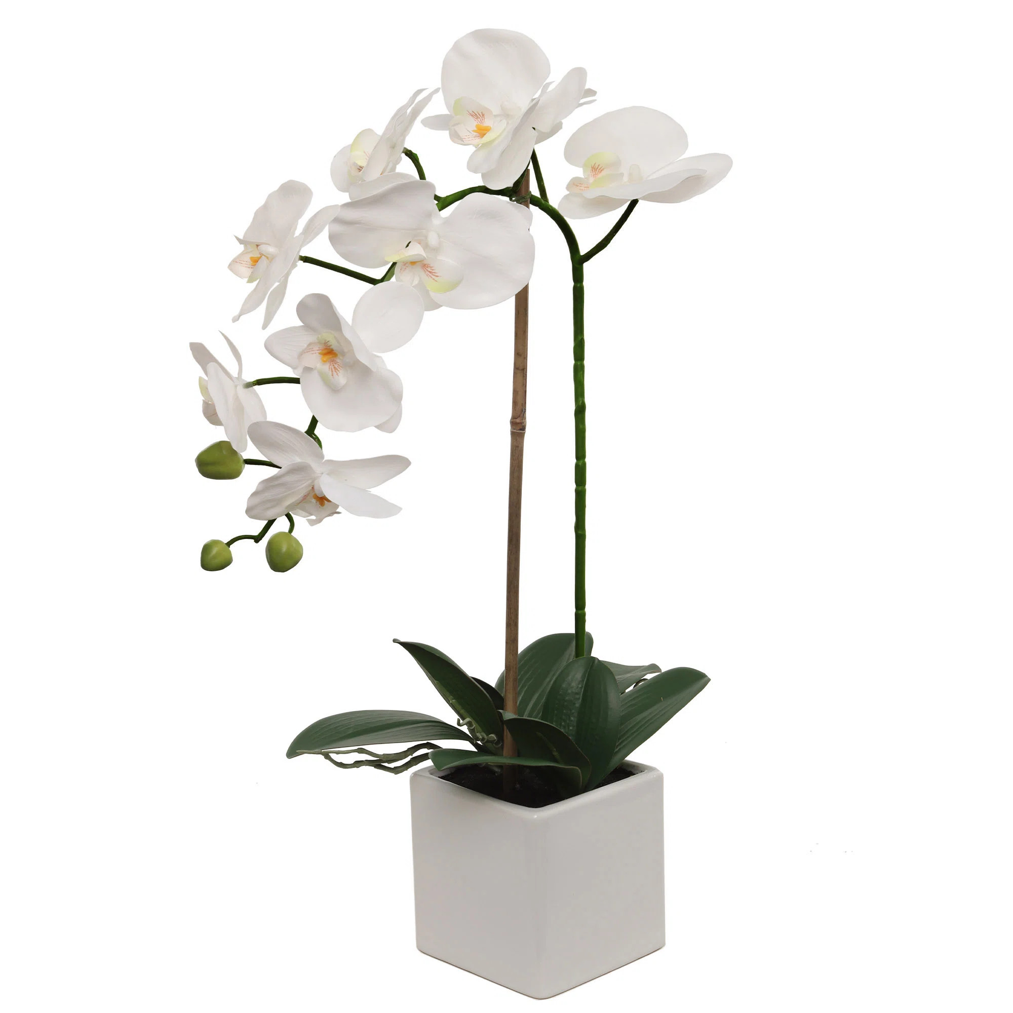 White Phalaenopsis In 5" Cube White Pot, Elegant Lifelike Orchid, Ideal For Home, Office, And Tab... | Wayfair North America