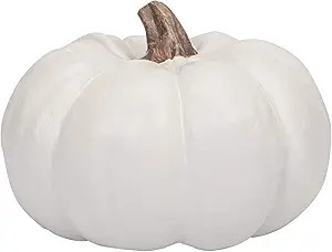 Elanze Designs Classic White 6 inch Resin Harvest Decorative Pumpkin | Amazon (US)