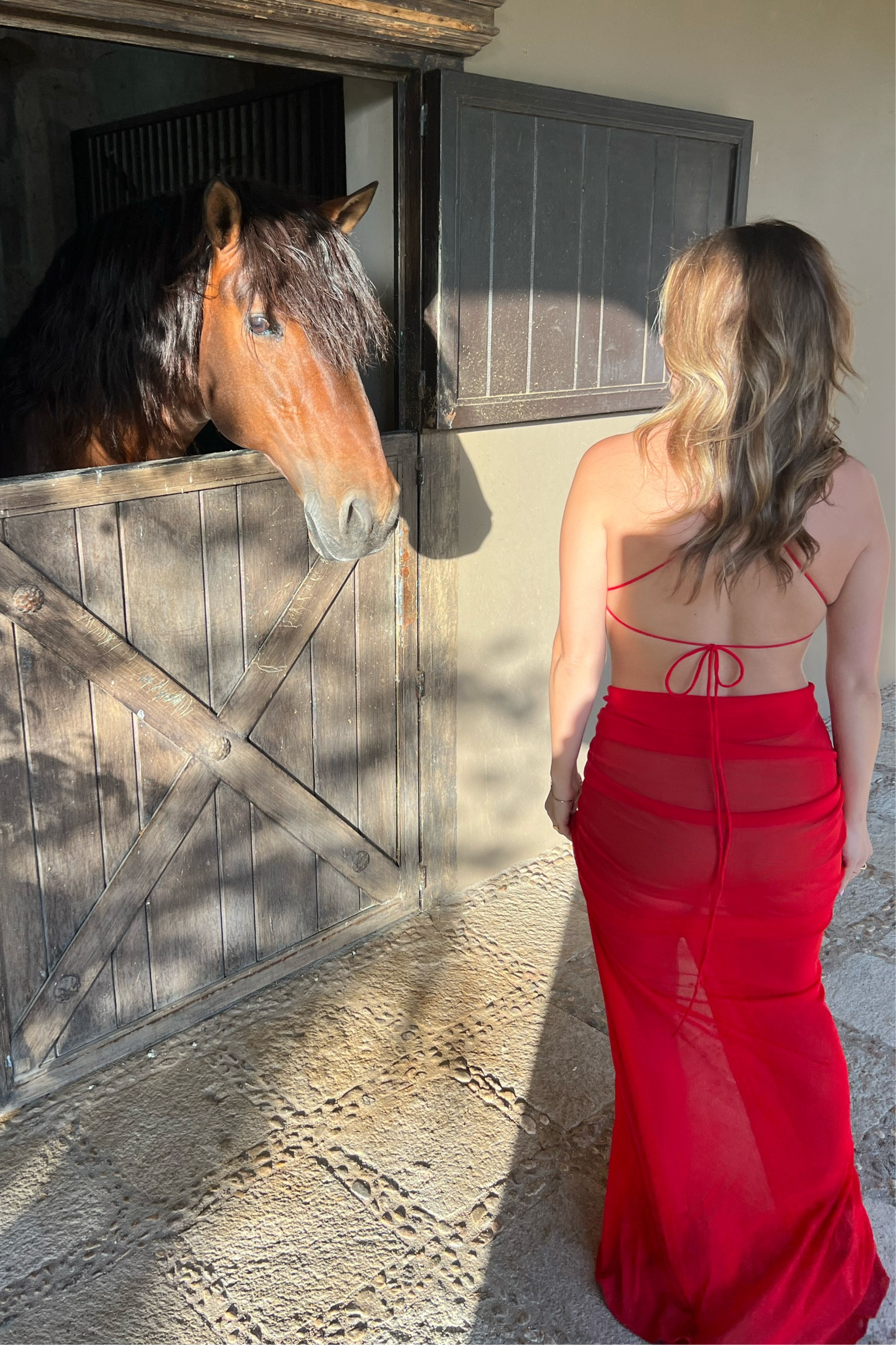 Wedding Guest Dress - Revolve Michael Costello Exclusive / Red Gown + Black Gown + Pink Gown ON SALE + Mauve Gown / Sheer Floor Length Dress

#LTKsalealert #LTKwedding