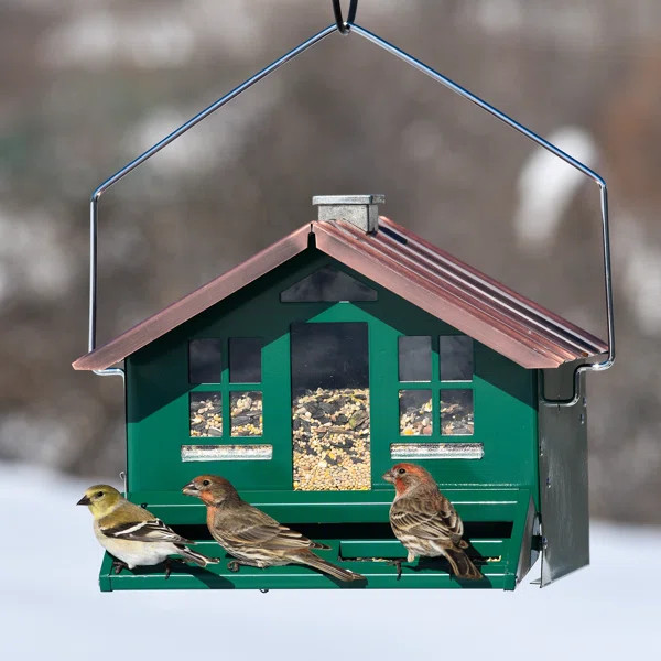 Eseli Squirrel-Be-Gone Home Style Hopper Bird Feeder | Wayfair North America