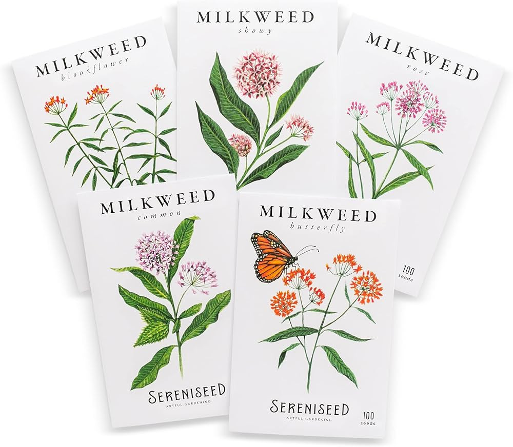 Sereniseed Milkweed Seed Collection (5-Pack) | Amazon (US)