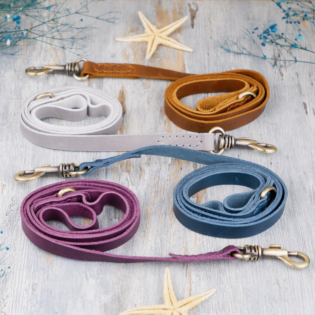 Leather Dog Leash Personalized Dog Leash 4 Ft Pet Leash for - Etsy | Etsy (US)