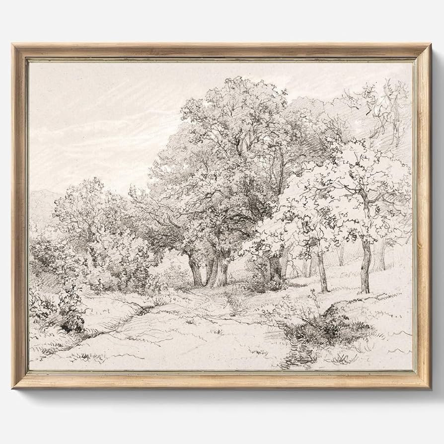 Vintage Wall art, Classical Paintings Poster Prints, Sketch Room Decor for Home Office Bedroom Li... | Amazon (US)