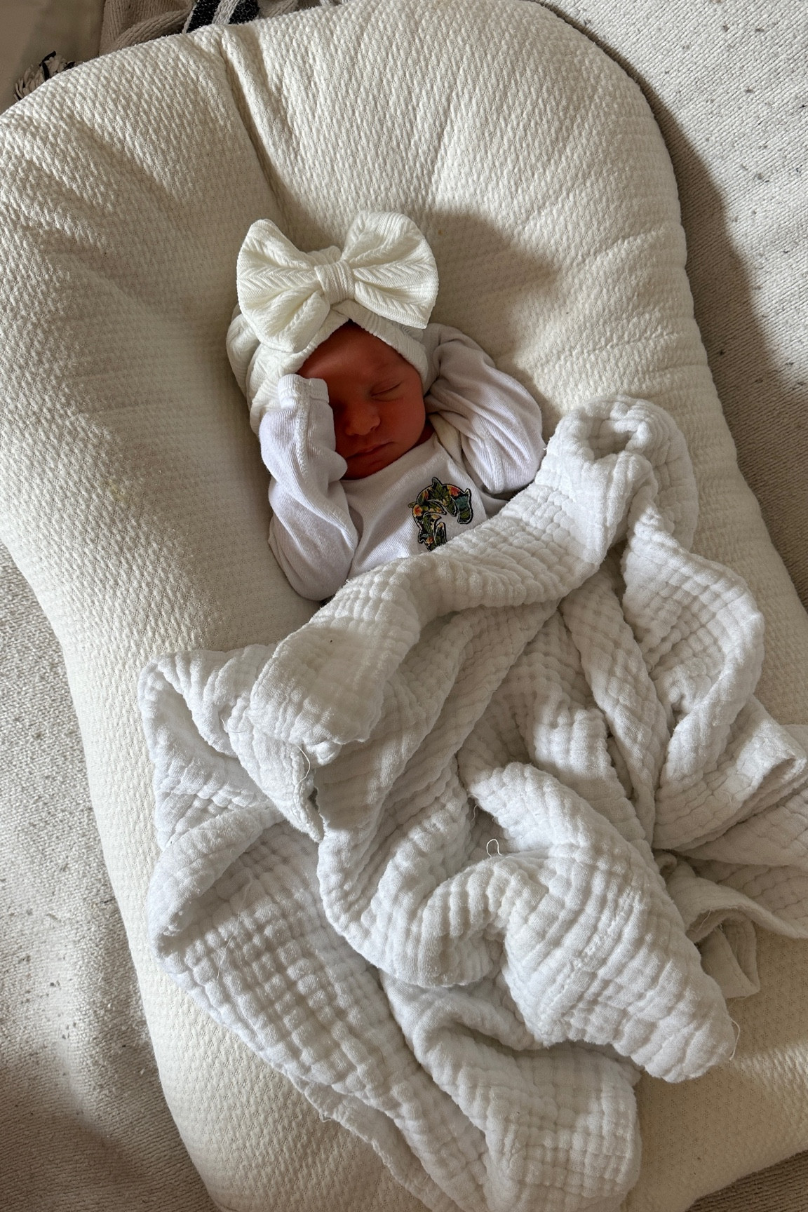 Organic baby lounger + cover

#LTKBaby