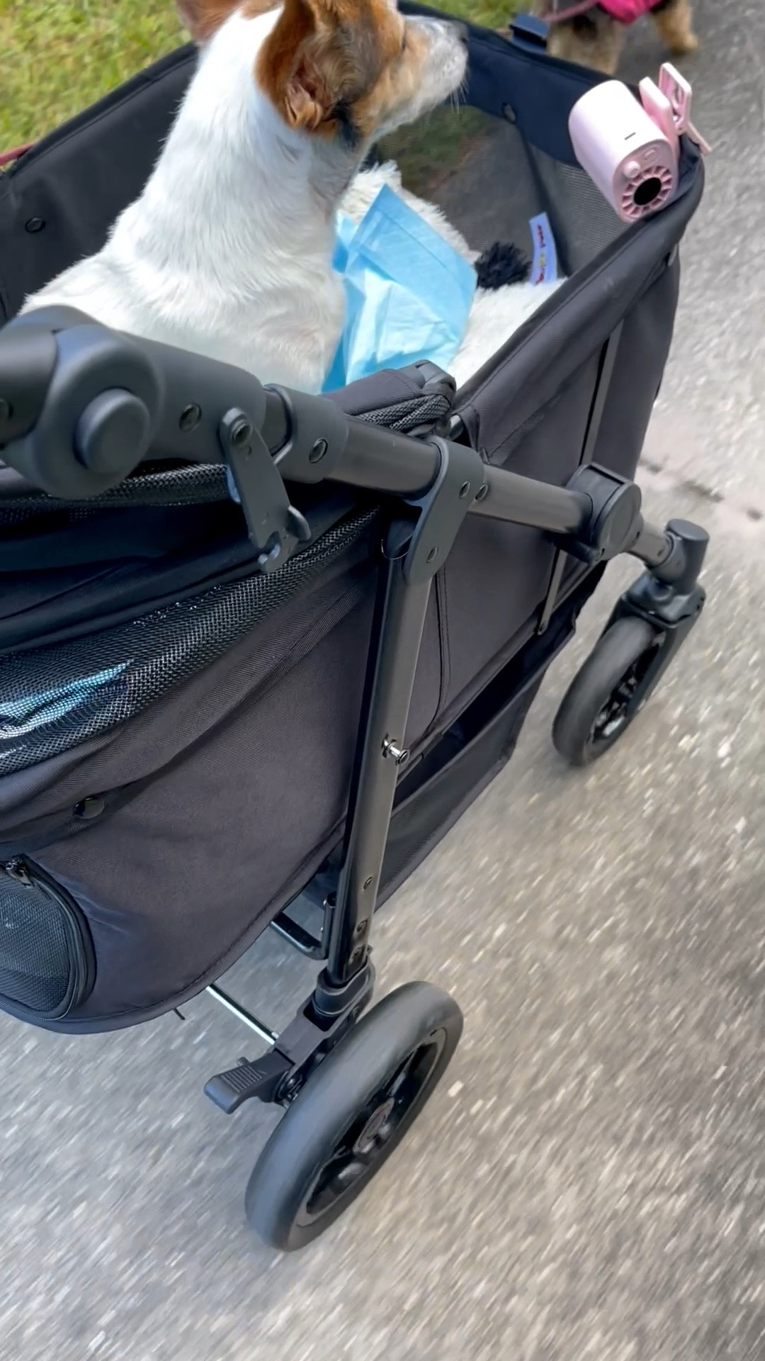 Dog stroller in style

#LTKTravel #LTKSaleAlert #LTKPets