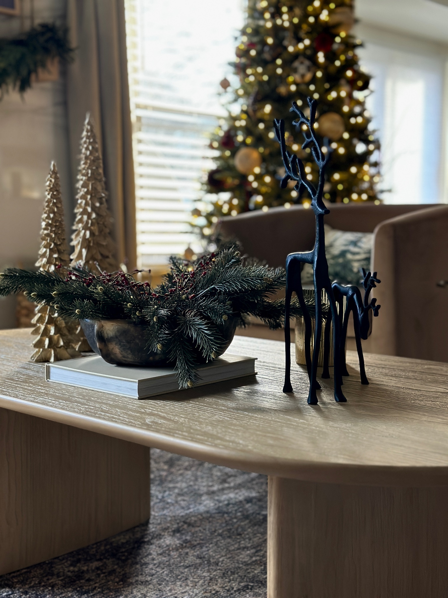 Christmas Coffee Table Decor

#LTKHoliday #LTKSeasonal #LTKhome