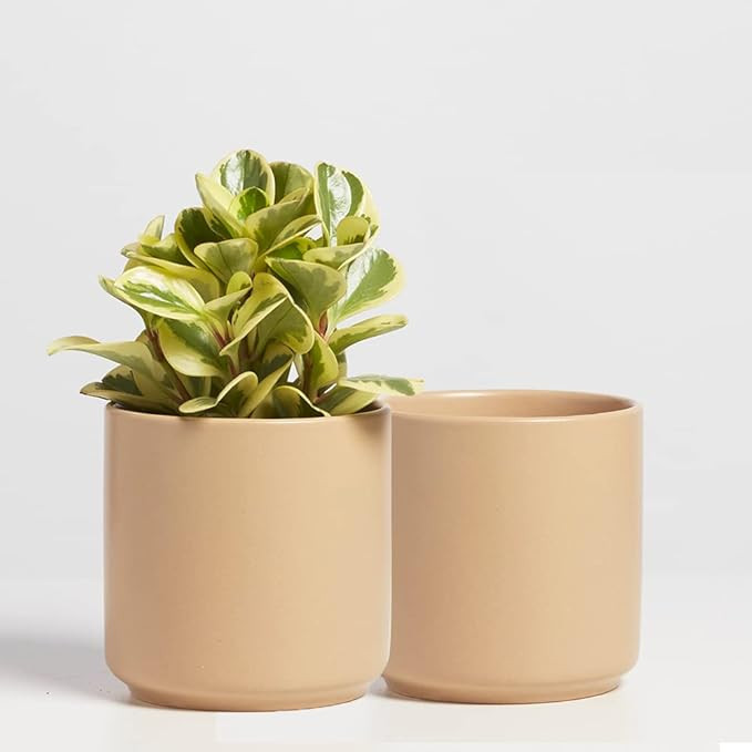 PEACH & PEBBLE 7 Inch (Set of Two) Tan Ceramic Planter. Classic Cylinder Plant Pot for House Plan... | Amazon (US)