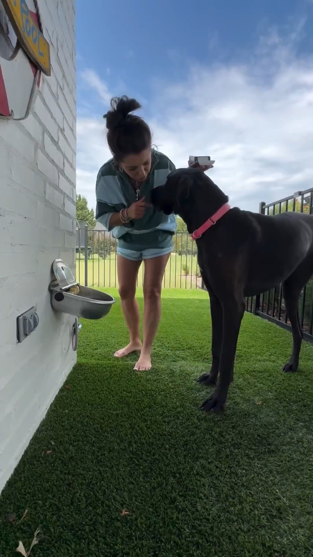 Keeping the pups happy & the yard glowing ✨🐶 This automatic dog water bowl + solar lights make the perfect combo for a functional dog yard. 

#PetFinds #DogMomLife #greatdane #outdoor  #amazonhome #homeimprovement #exterior #dogmom 

automatic dog water bowl. solar lights for dog yard. best Amazon pet finds. outdoor pet accessories. dog yard must haves. pet friendly yard ideas
Amazon pet products 2025. practical pet essentials. outdoor dog water station. affordable pet finds online

#LTKPets #liketkit #LTKFindsUnder100 #LTKHome

#LTKActive #LTKmomlife #LTKGiftGuide