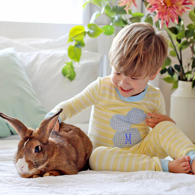 Blue Bunny Yellow Stripe Pajamas | Classic Whimsy