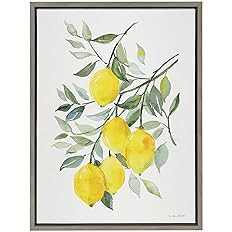 Kate and Laurel Sylvie Lemon Citrus Framed Canvas Wall Art by Patricia Shaw, 18x24 Gray, Decorati... | Amazon (US)