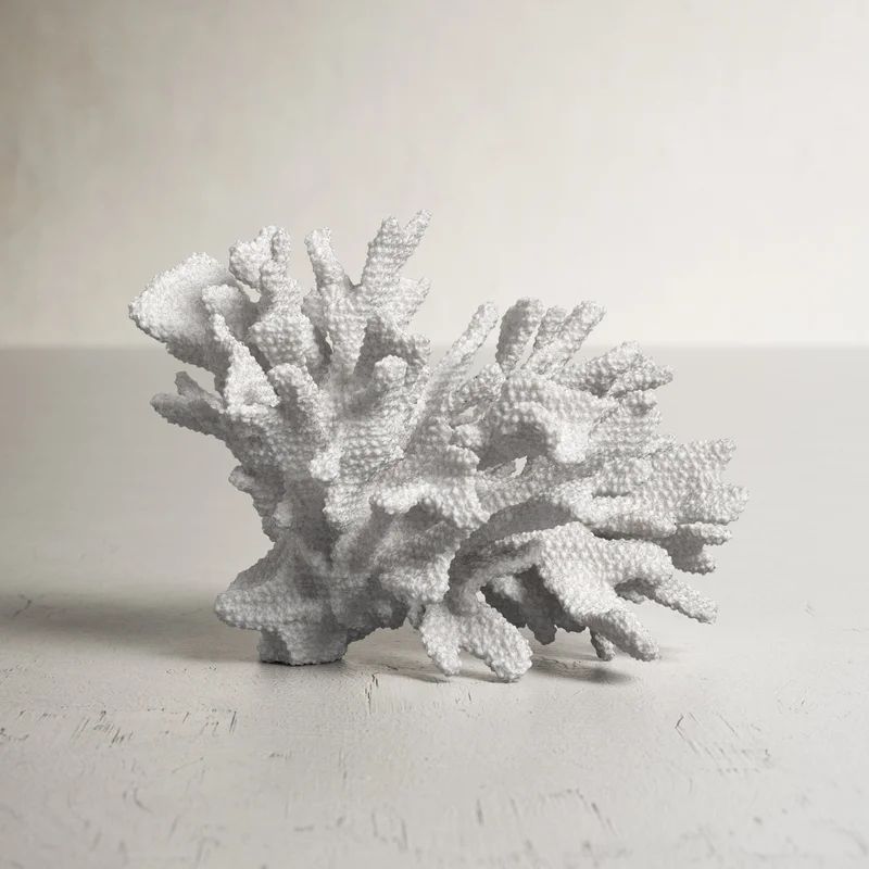 Dingman Coral Sculpture | Wayfair North America