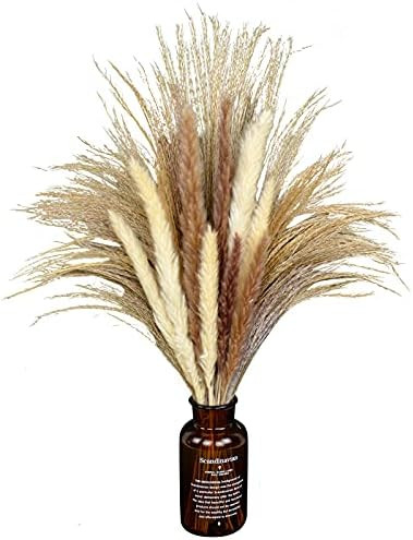 80Pcs Dried Pampas Grass 18"/45cm Natural Pompous Grass Pompass Branches for Flower Arrangement W... | Amazon (US)