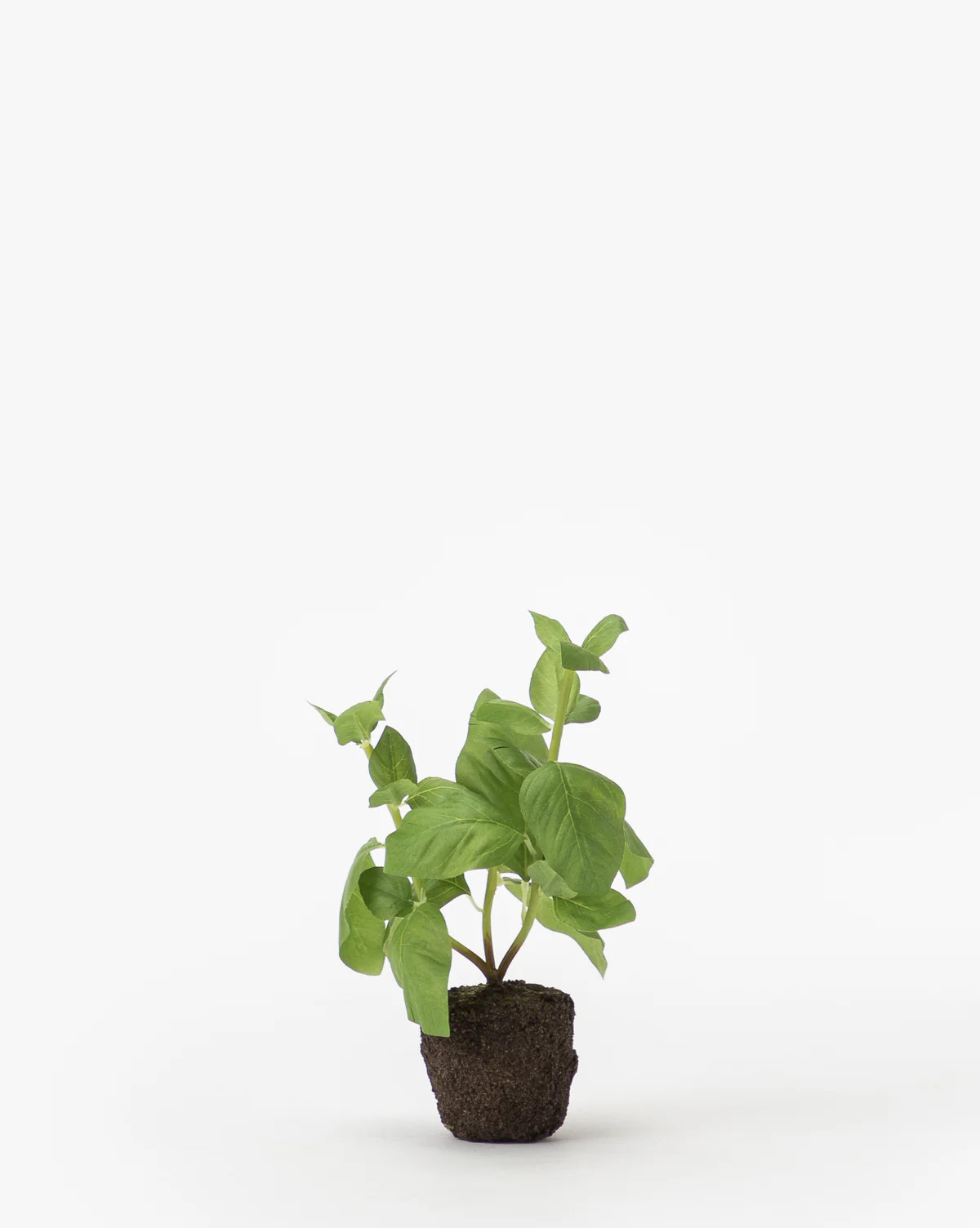 Faux Basil Drop-In | McGee & Co. (US)