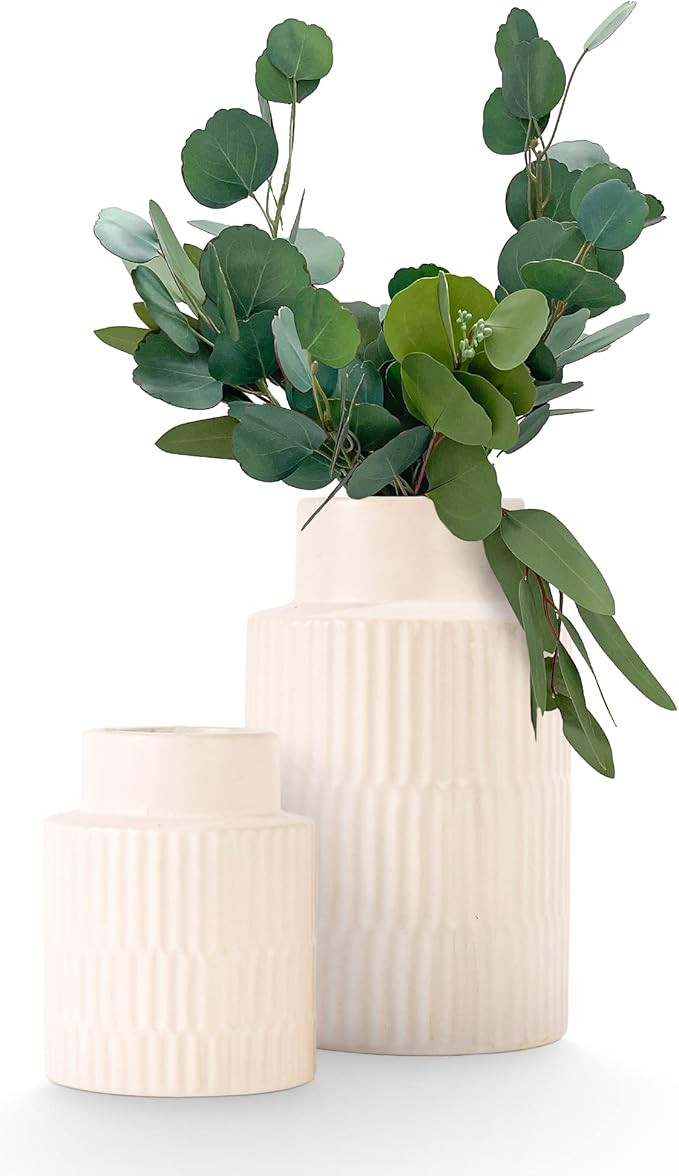 White Large Ceramic Vase Set of 2, Modern Farmhouse Home Decor Accents, Rustic Décor and Accesso... | Amazon (US)