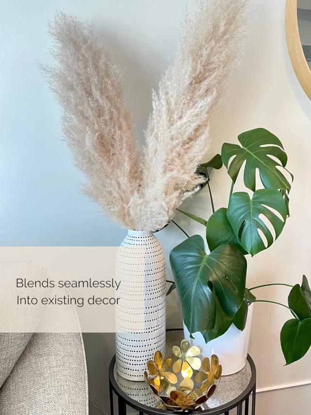 Large Pampas Grass (6) - Extra Fluffy Plumes, Beige Natural Pressed Tall Pampas Grass for Floor vase | Amazon (US)