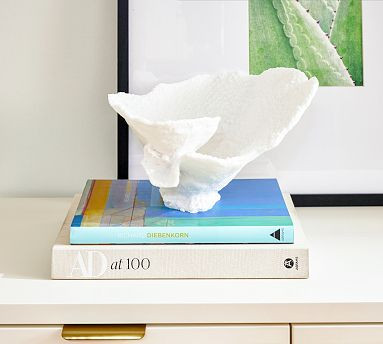 Faux Coral Collection | Pottery Barn (US)