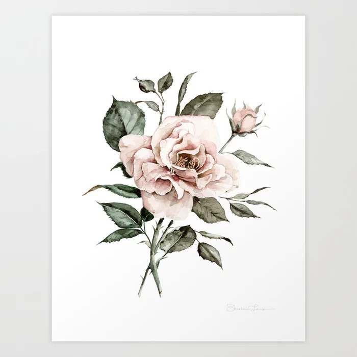 Faded Pink Rose Art Print | Society6