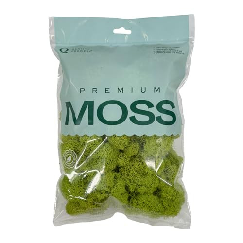 Quality Growers - Preserved Reindeer Moss - Moss for Crafts, Home Decor, Art, Design & DIY Projects - Non-Toxic - USA Made (Chartreuse, Small) | Amazon (US)