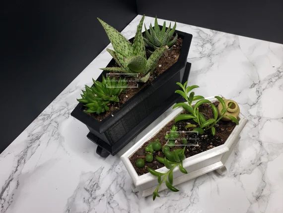 Coffin Mini Planter & Stand Goth Succulent Planter Decor - Etsy | Etsy (US)