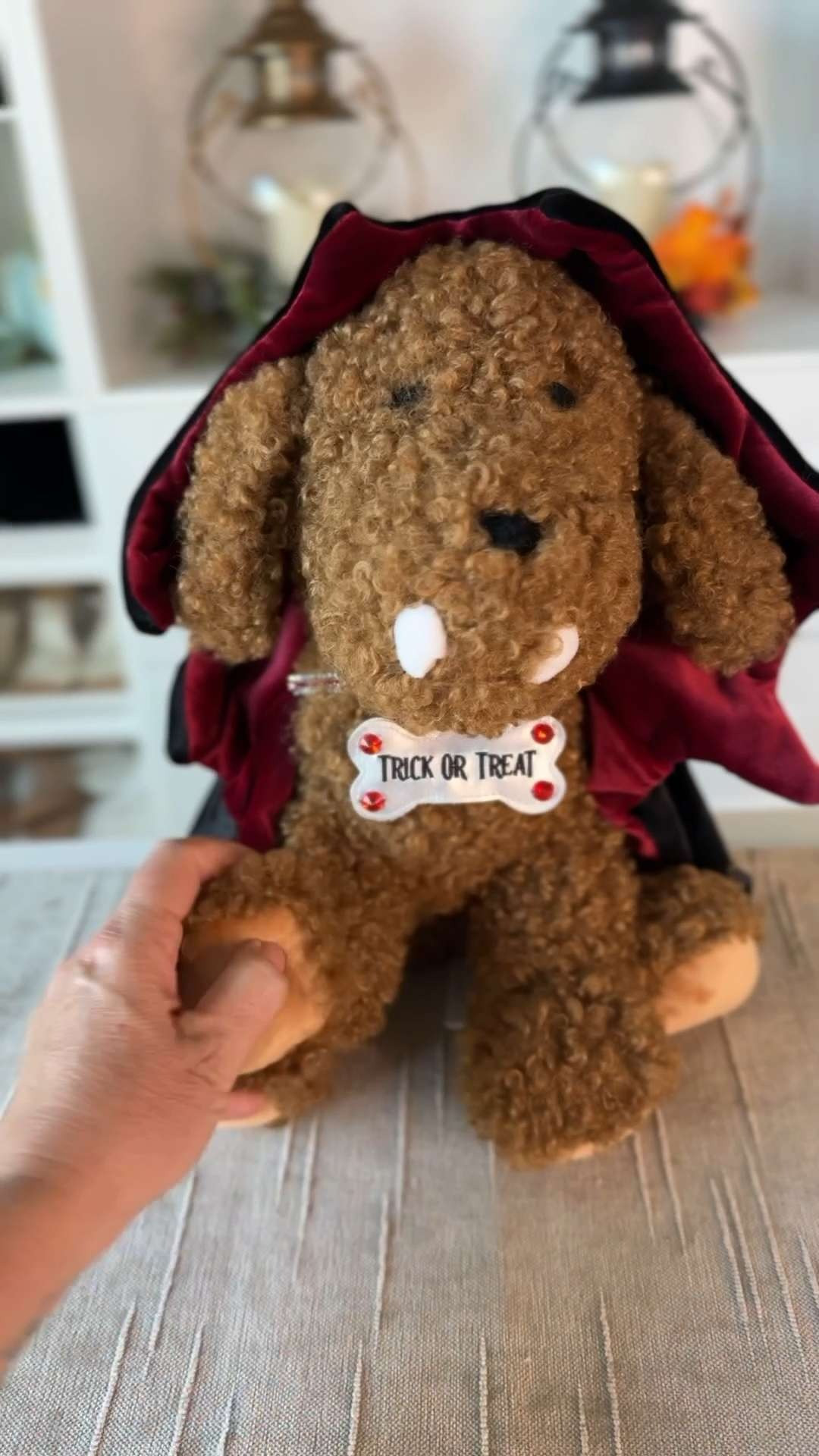 The Dracula Dog Pillow from Pottery Barn 

 #LTKHalloween