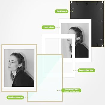 Golden State Art - 18x24 Aluminum Picture Frame - with Mat for 16x20 Photo or Without Mat for 18 ... | Amazon (US)
