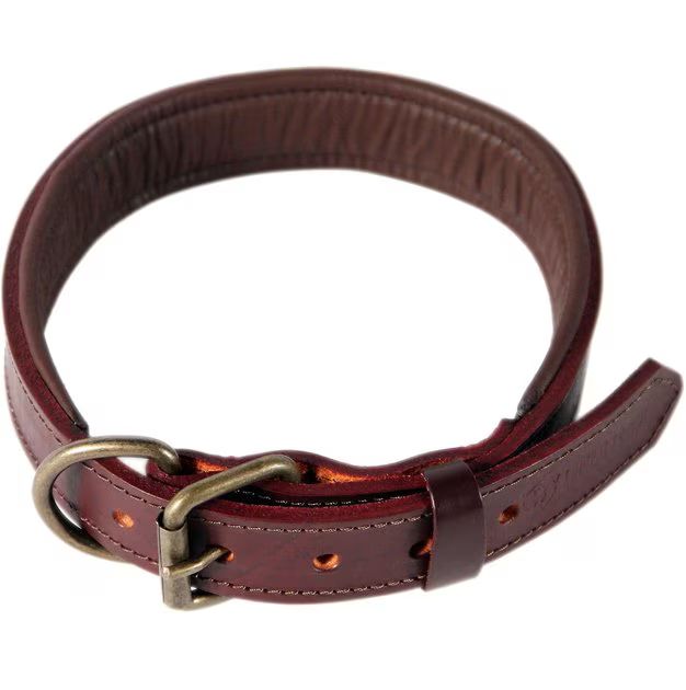 LOGICAL LEATHER Padded Dog Collar, Brown, Large - Chewy.com | Chewy.com