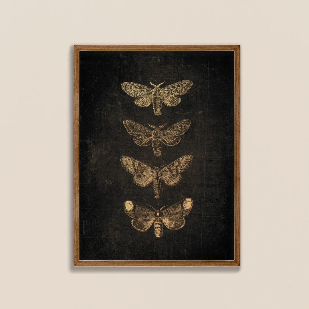 Black Butterfly Print Vintage Butterfly Dark Prints - Etsy | Etsy (US)