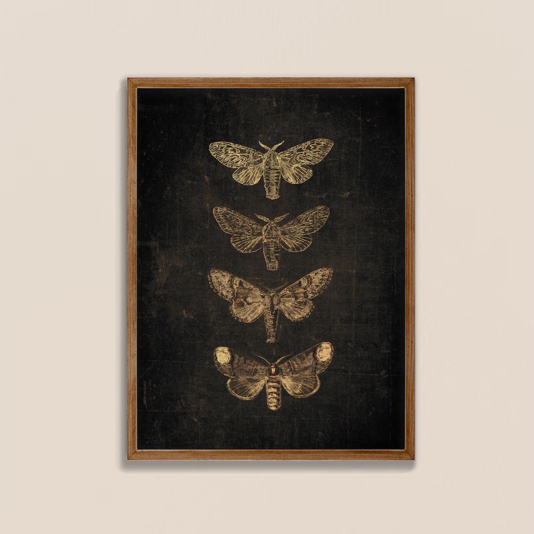 Black Butterfly Print Vintage Butterfly Dark Prints - Etsy | Etsy (US)