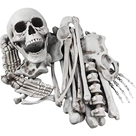 MOKRY PARTY Bag of Life Size Skeleton Skull for Halloween Graveyard 28 PCS | Amazon (US)