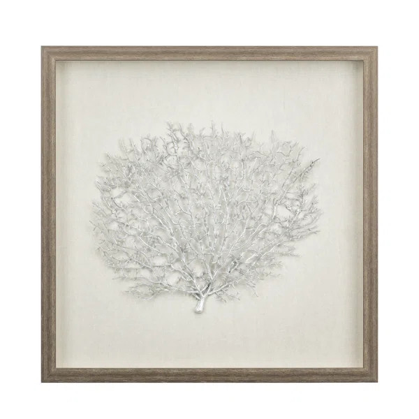 Sea Fan Wall Décor | Wayfair North America
