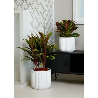 Indoor/Outdoor Large Nordic Minimalist Fiberstone Lightweight Short Round Planter Pot With Groove... | Bed Bath & Beyond