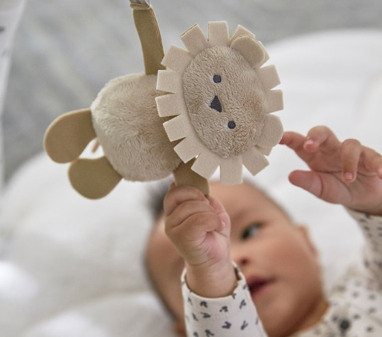 Skip Hop x pbk Dreamy Skies Activity Gym | Pottery Barn Kids