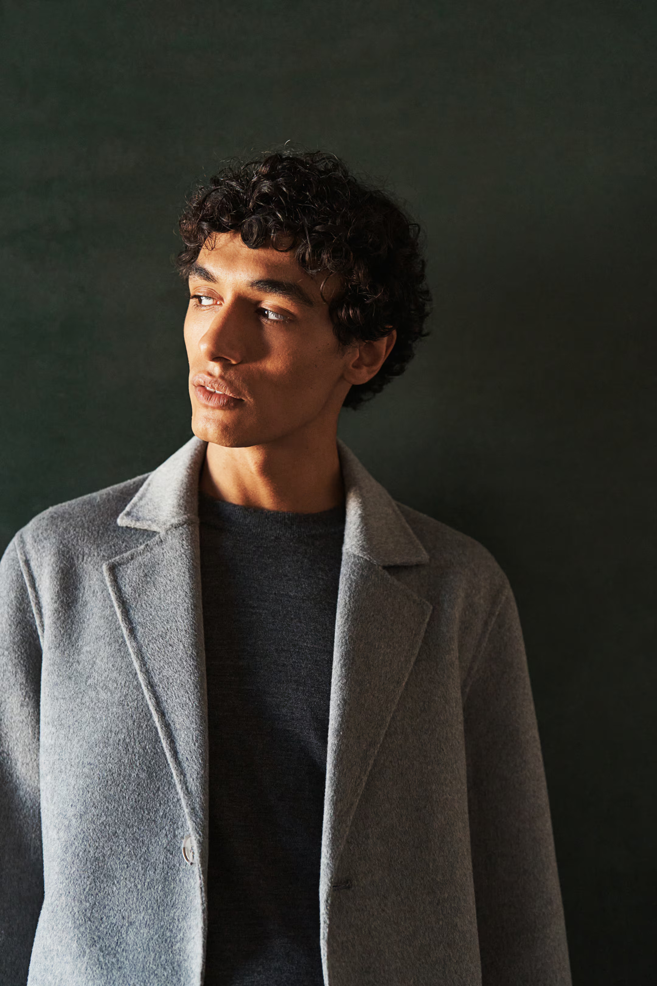 Wool Coat | H&M (US + CA)