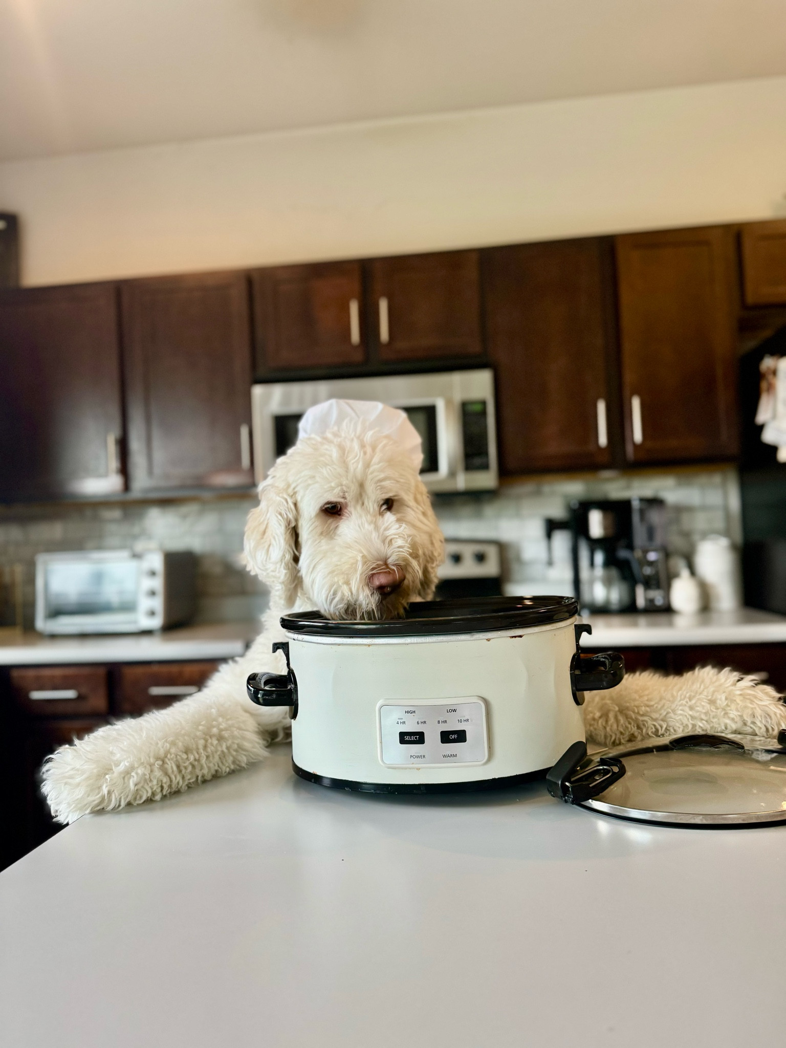 Crockpot dogs favorite crockpot on sale!

#LTKSeasonal #LTKSaleAlert #LTKFallSale