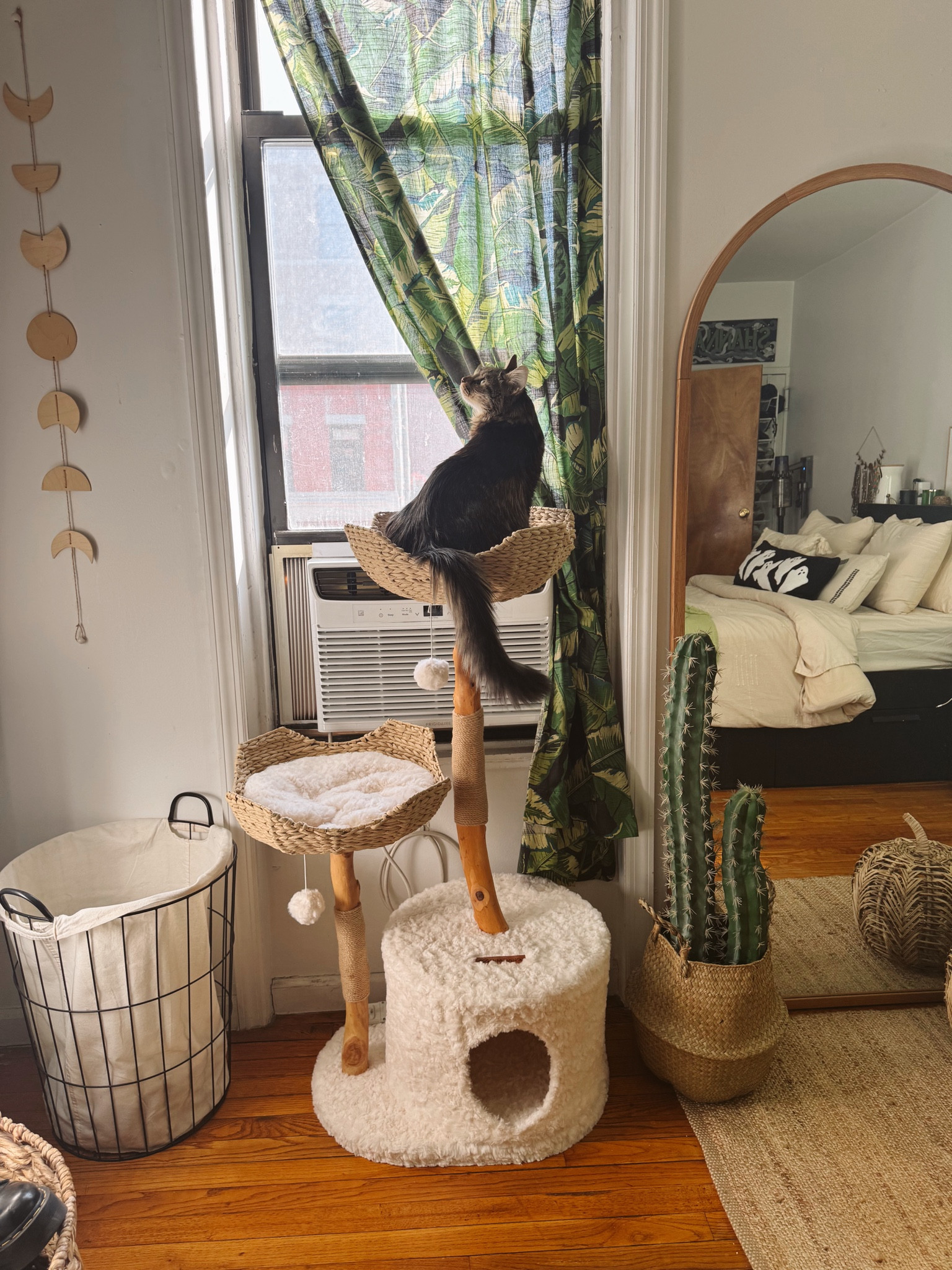 Giving all the boho vibes with our new cat tree in our bedroom! 

#LTKHome #LTKCyberWeek #LTKGiftGuide