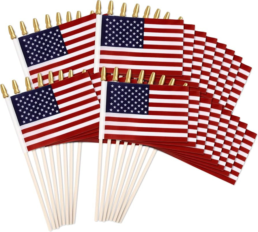 16 Pack Small US American Handheld Flags US Flags On Stick for Patriotic Decor Memorial Day Indep... | Amazon (US)
