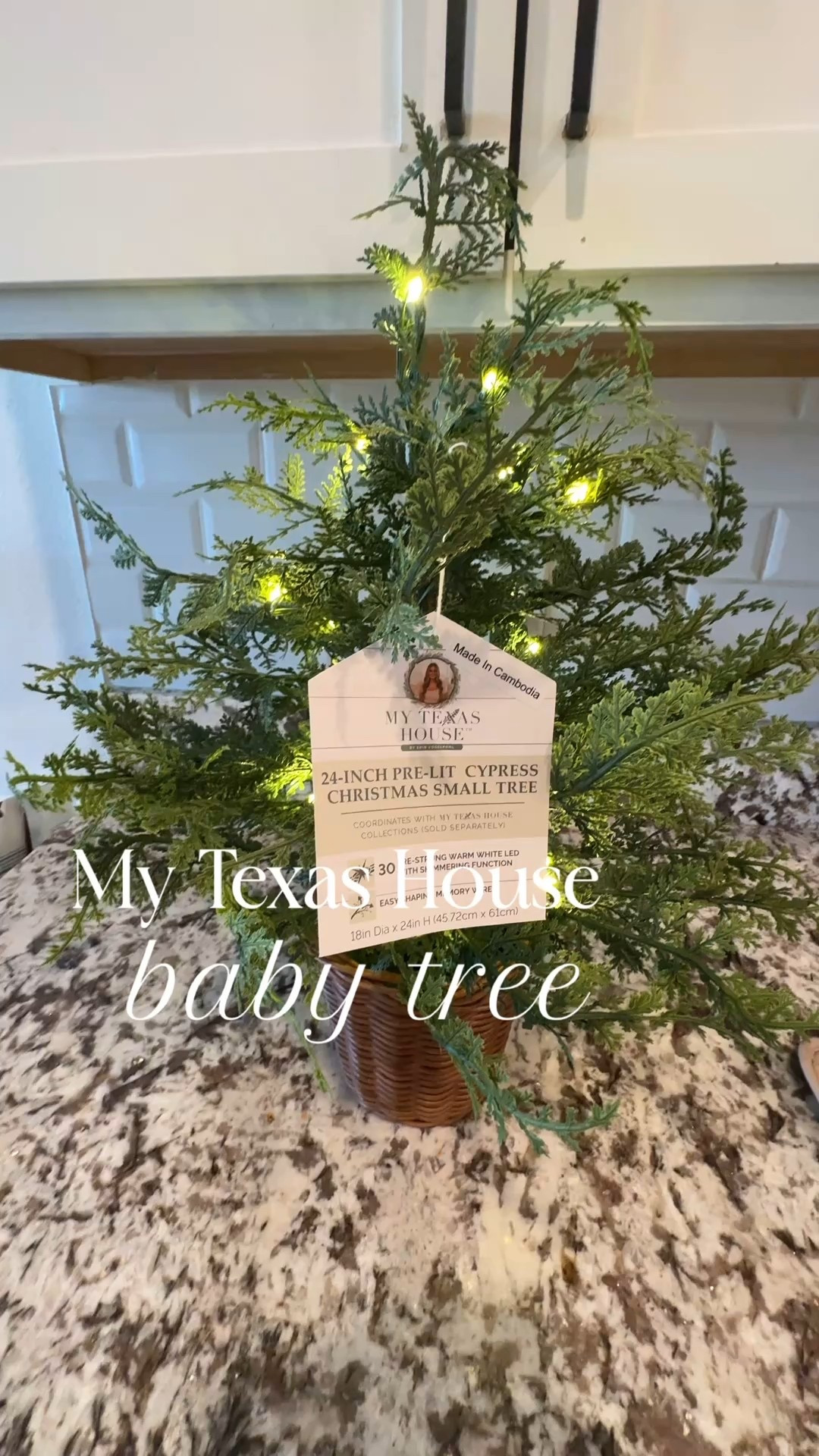Walmart - My Texas House baby Cypress Tree 

#LTKSeasonal #LTKHome